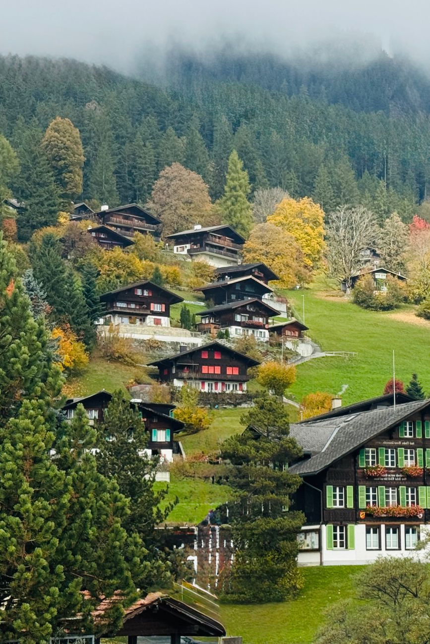 Swiss alps during autumn with golden trees